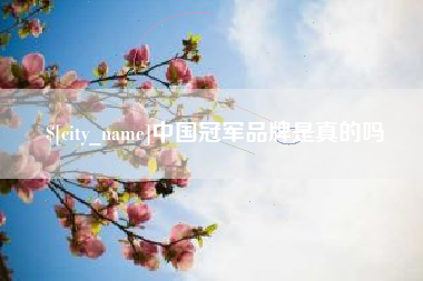 攸县中国冠军品牌是真的吗