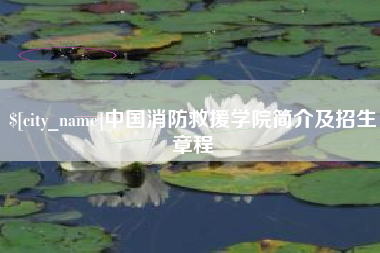 攸县中国消防救援学院简介及招生章程