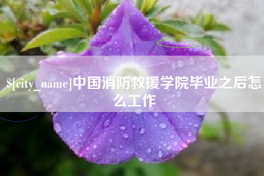 攸县中国消防救援学院毕业之后怎么工作