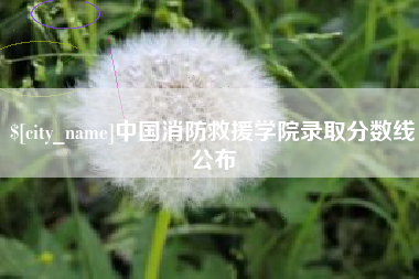 攸县中国消防救援学院录取分数线公布