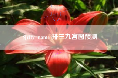 攸县排三九宫图预测