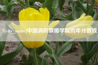 攸县中国消防救援学院历年分数线