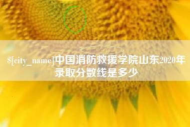 攸县中国消防救援学院山东2020年录取分数线是多少