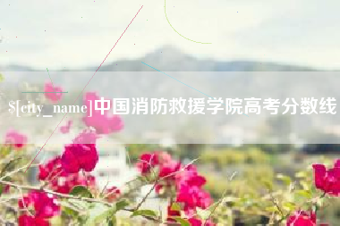 攸县中国消防救援学院高考分数线