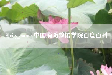 攸县中国消防救援学院百度百科