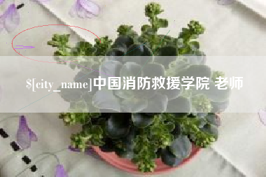 攸县中国消防救援学院 老师