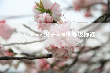 攸县男子5000米等级标准