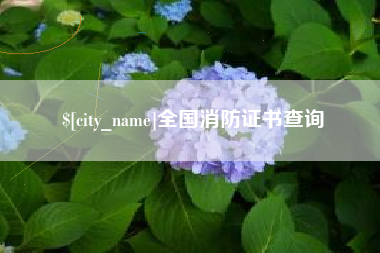 攸县全国消防证书查询