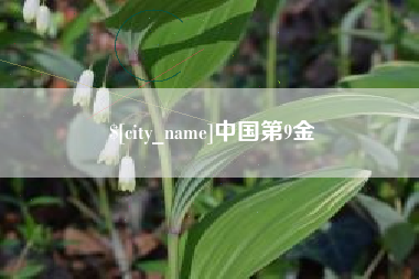 攸县中国第9金