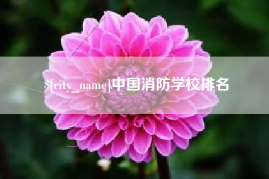 攸县中国消防学校排名