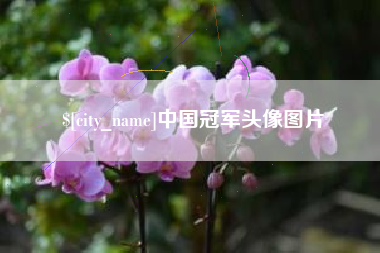 攸县中国冠军头像图片