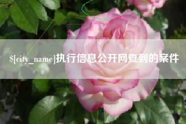 攸县执行信息公开网查到的案件