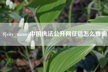 攸县中国执法公开网征信怎么查询