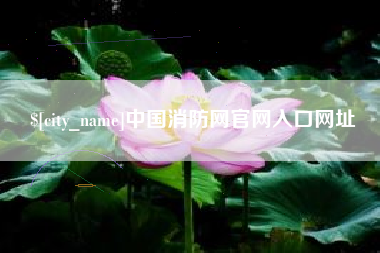 攸县中国消防网官网入口网址