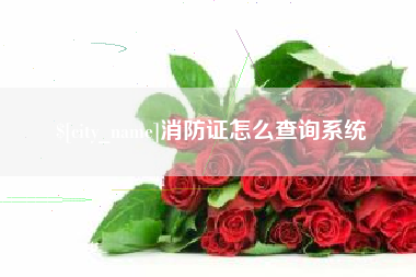 攸县消防证怎么查询系统