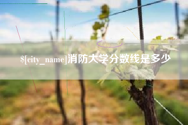 攸县消防大学分数线是多少