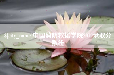 攸县中国消防救援学院2019录取分数线