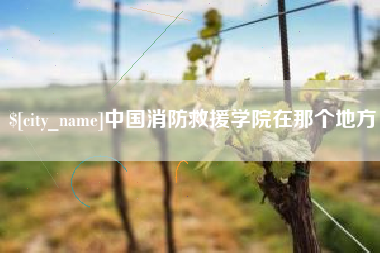 攸县中国消防救援学院在那个地方