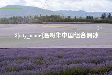 攸县温哥华中国组合滑冰