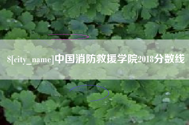 攸县中国消防救援学院2018分数线