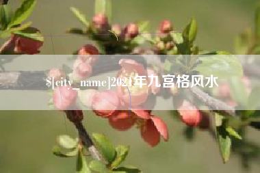 攸县2021年九宫格风水