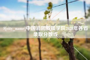 攸县中国消防救援学院2020年各省录取分数线
