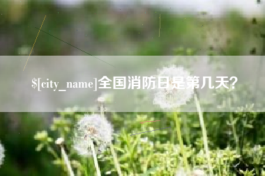 攸县全国消防日是第几天？