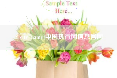 攸县中国执行网信息官网