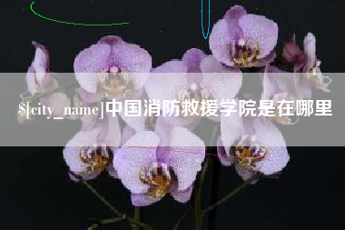 攸县中国消防救援学院是在哪里