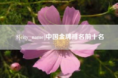 攸县中国金牌排名前十名