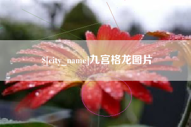 攸县九宫格龙图片