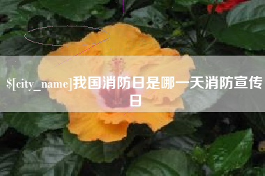 攸县我国消防日是哪一天消防宣传日