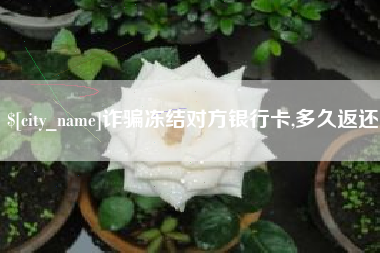攸县诈骗冻结对方银行卡,多久返还