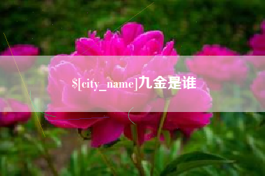 攸县九金是谁
