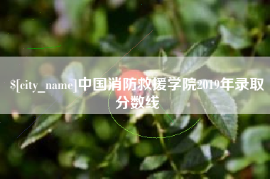 攸县中国消防救援学院2019年录取分数线