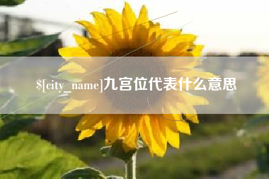 攸县九宫位代表什么意思