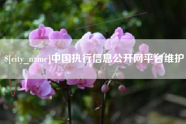 攸县中国执行信息公开网平台维护