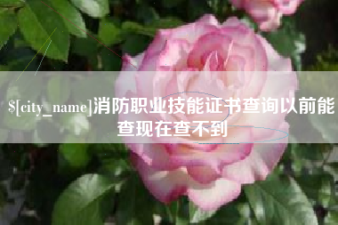 攸县消防职业技能证书查询以前能查现在查不到