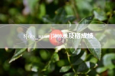 攸县5000米及格成绩
