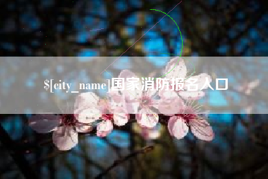 攸县国家消防报名入口