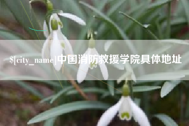 攸县中国消防救援学院具体地址