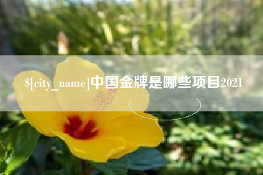攸县中国金牌是哪些项目2021