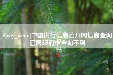 攸县中国执行信息公开网信息查询官网限消中查询不到