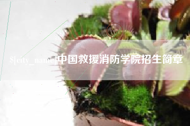 攸县中国救援消防学院招生简章