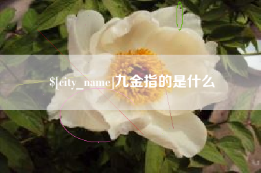 攸县九金指的是什么