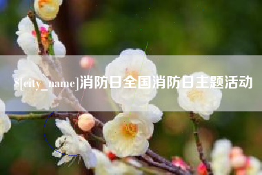 攸县消防日全国消防日主题活动