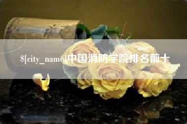 攸县中国消防学院排名前十