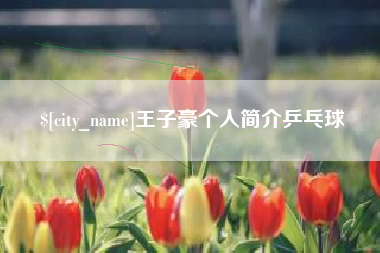 攸县王子豪个人简介乒乓球
