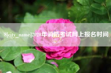 攸县2020年消防考试网上报名时间