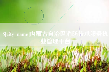 攸县内蒙古自治区消防技术服务执业管理平台